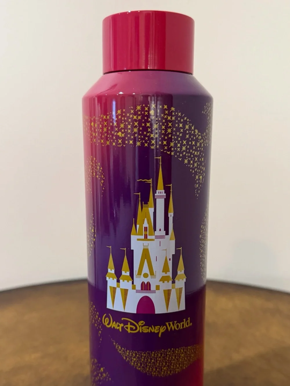 NEW STARBUCKS WALT DISNEY WORLD CINDERELLA CASTLE STAINLESS STEEL WATER BOTTLE